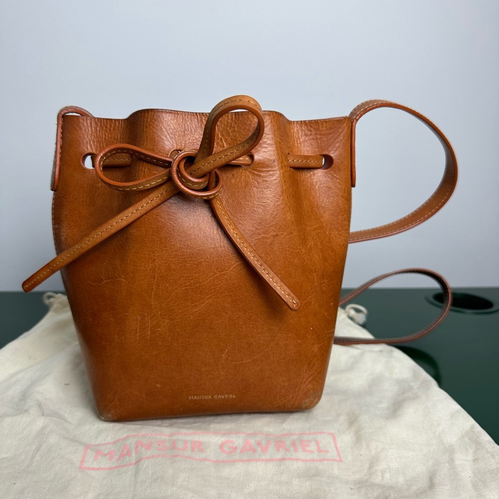Mansur Gavriel Mini Leather Bucket Bag